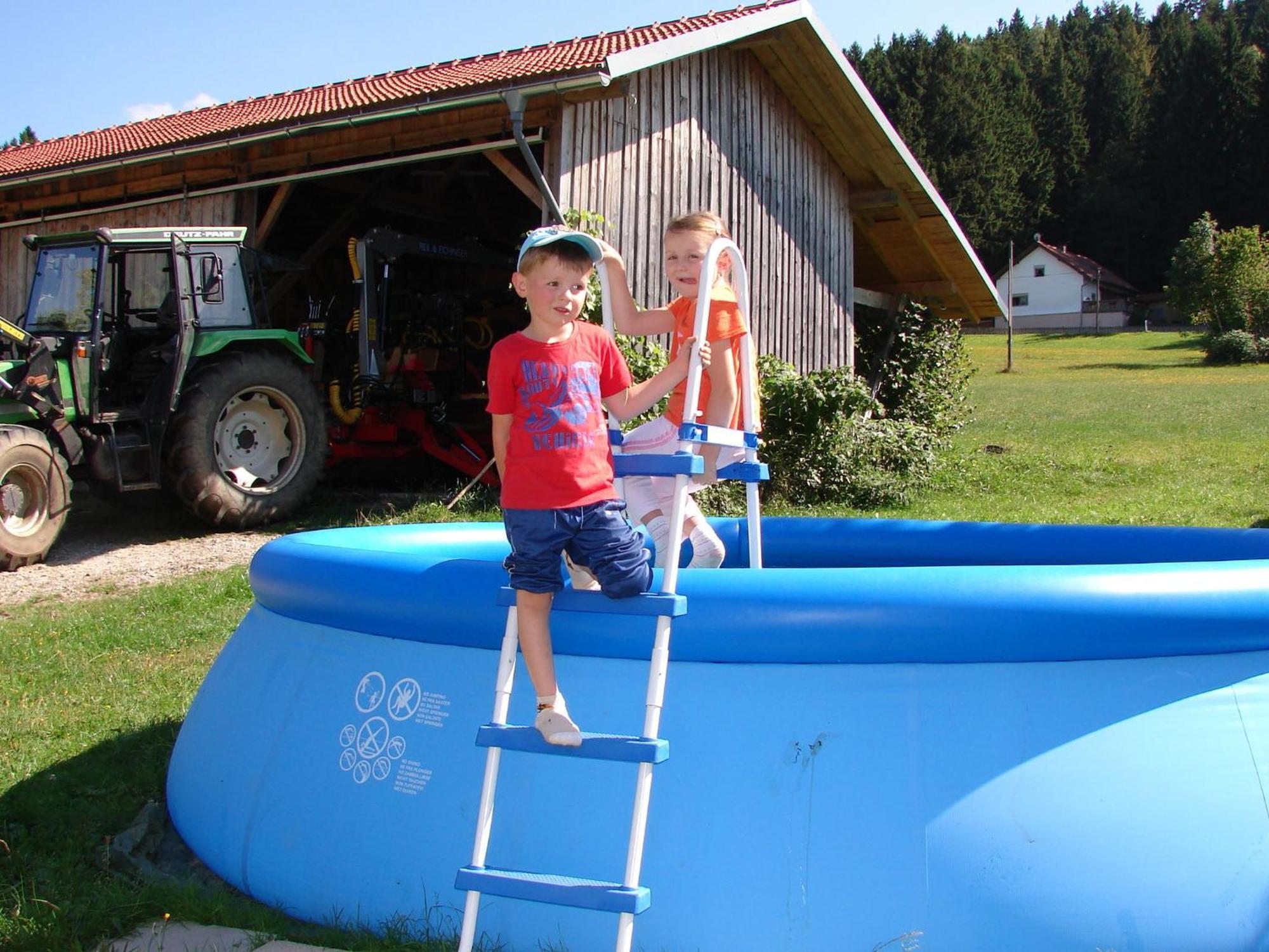 Flat On A Farm Near The Arber Ski Area Neukirchen beim Heiligen Blut Bagian luar foto