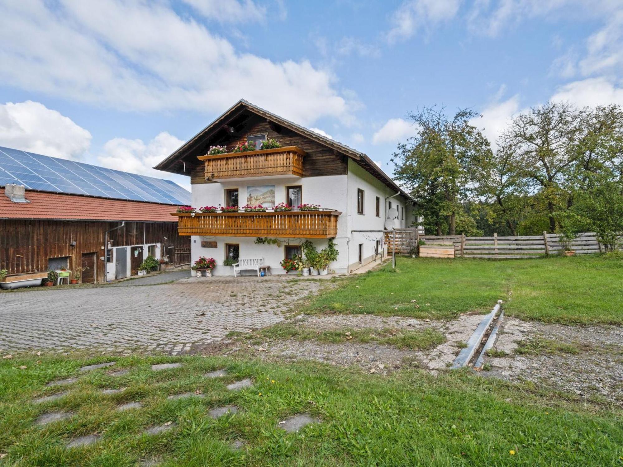 Flat On A Farm Near The Arber Ski Area Neukirchen beim Heiligen Blut Bagian luar foto