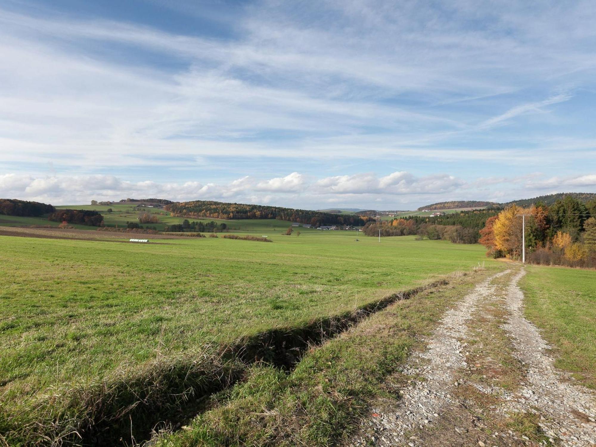 Flat On A Farm Near The Arber Ski Area Neukirchen beim Heiligen Blut Bagian luar foto